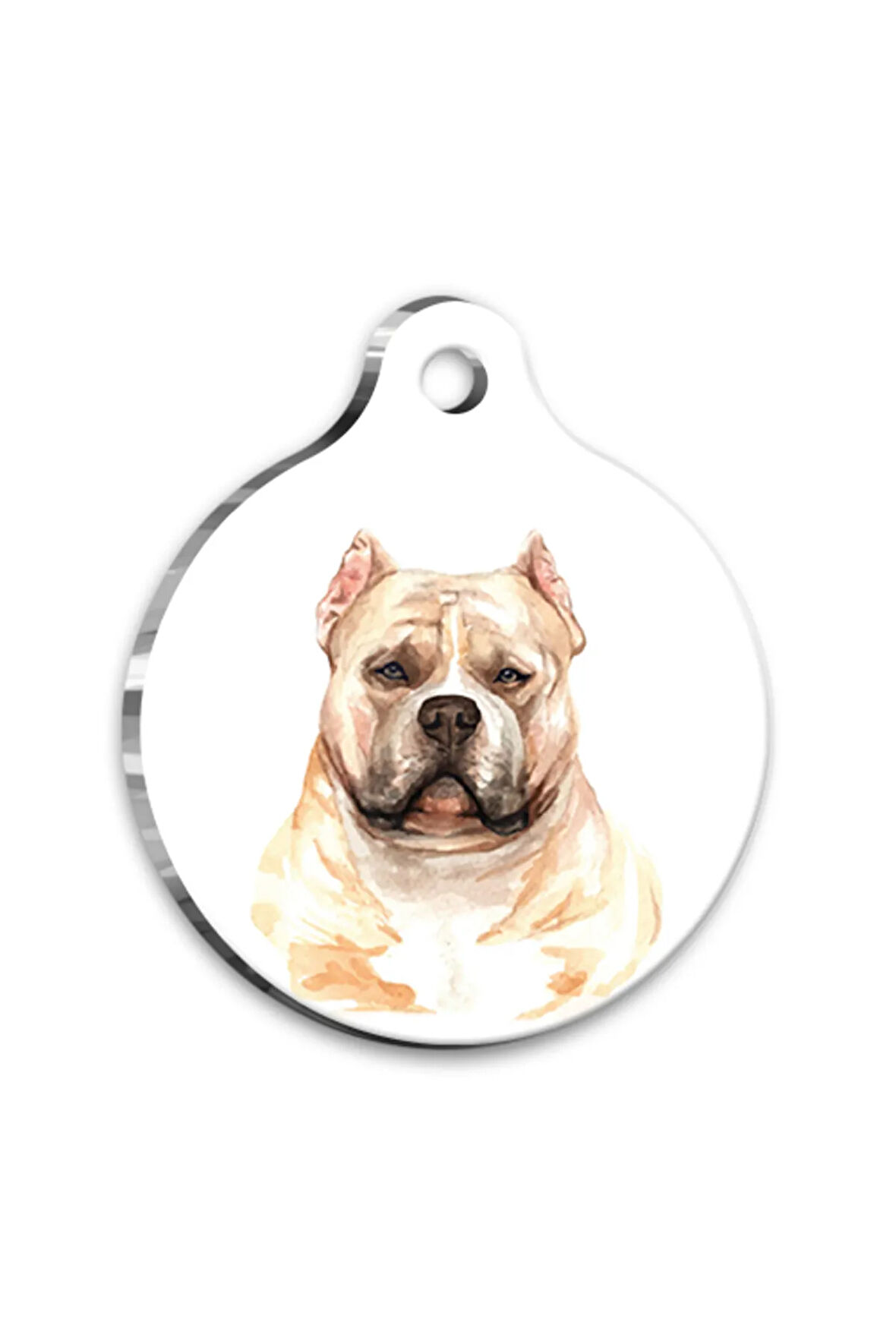 Suluboya American Bully Yuvarlak Köpek Künyesi Medium 3 cm