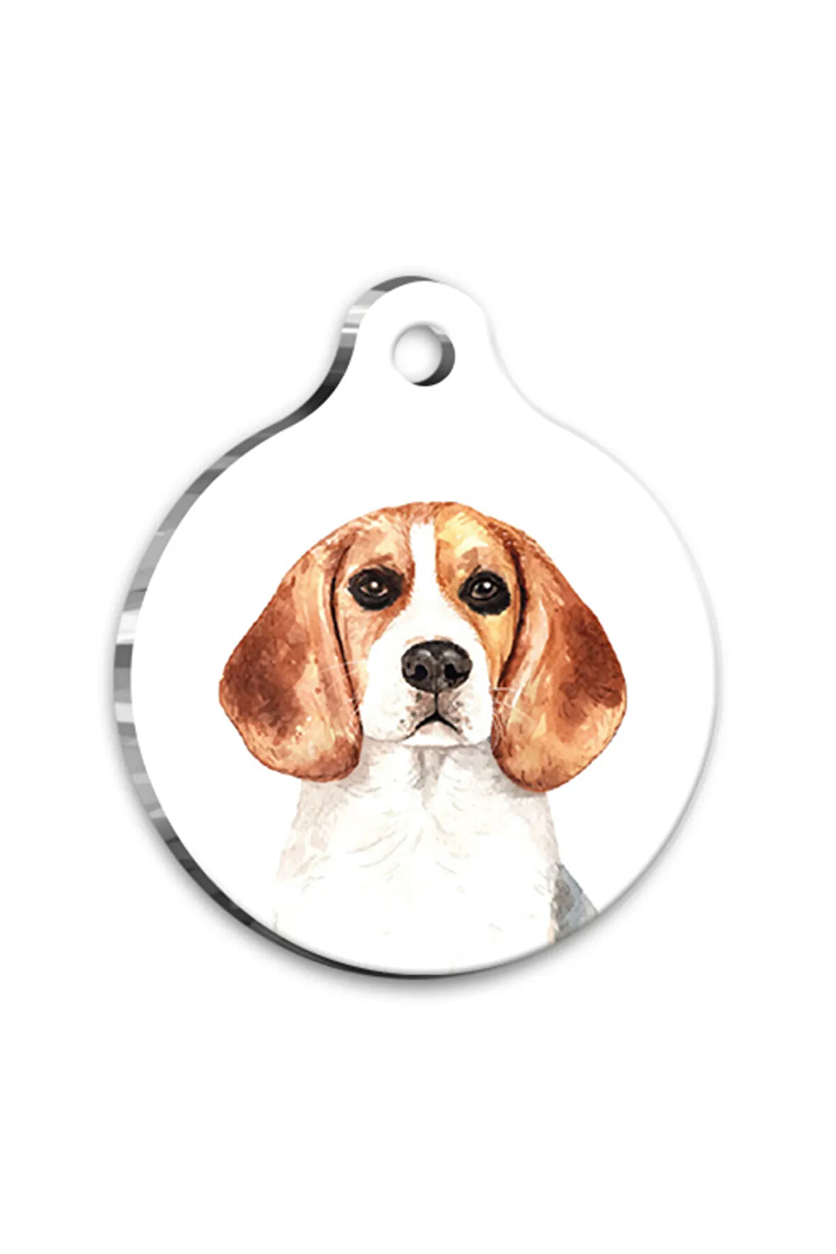 Suluboya Beagle Yuvarlak Köpek Künyesi