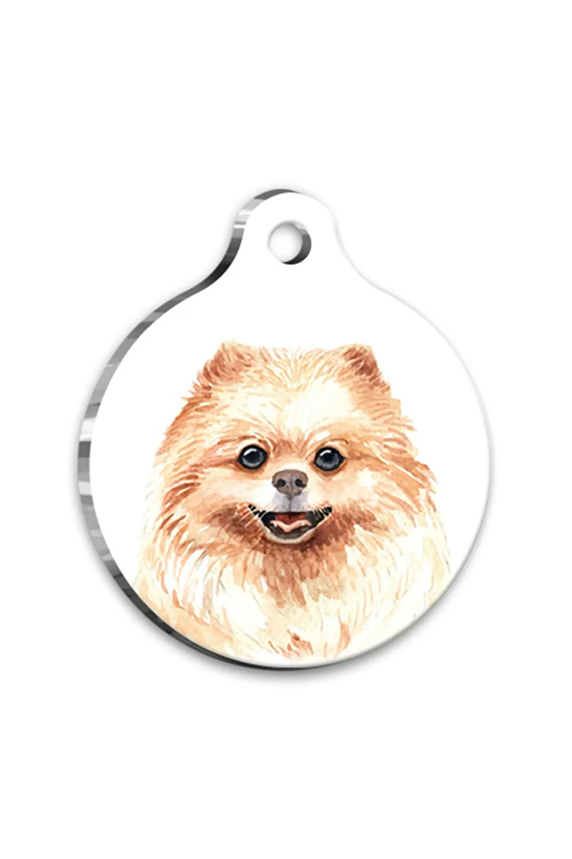 Suluboya Pomeranian Yuvarlak Köpek Künyesi Small 2,5 cm