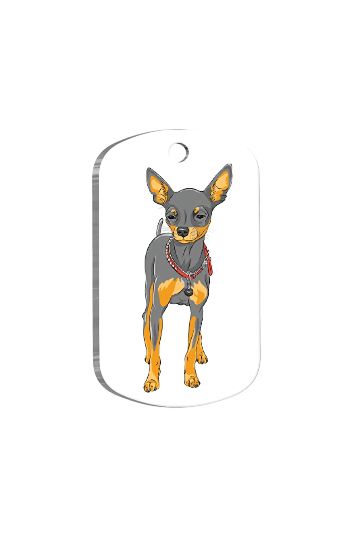 Chihuahua Resimli Köpek Künyesi