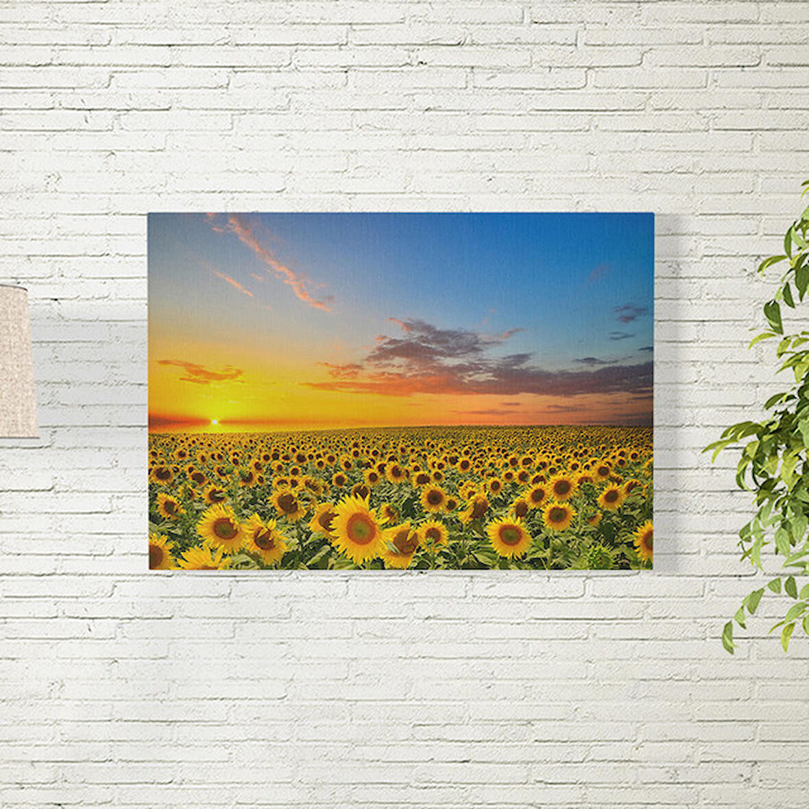 Ay Çiçek Tarlası Posteri 50X70 CM