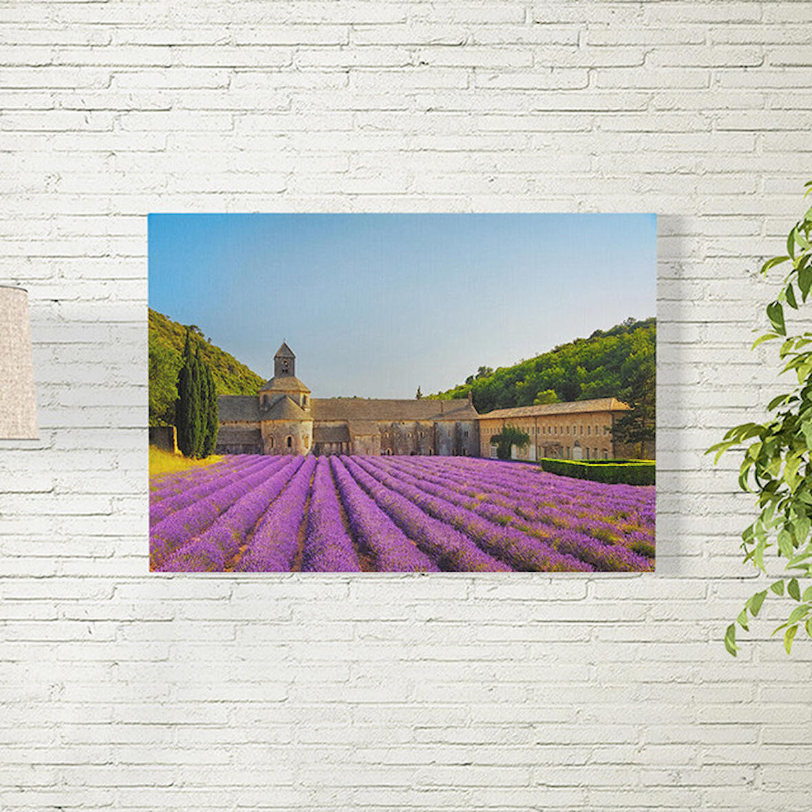 Lavanta Tarlası 50X70 CM