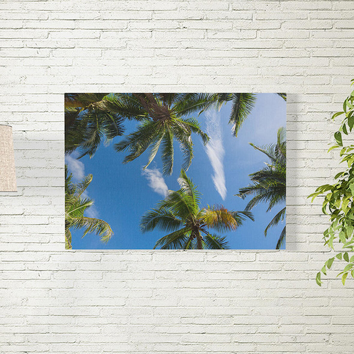 Palmiye Ağacı Posteri 50X70 CM