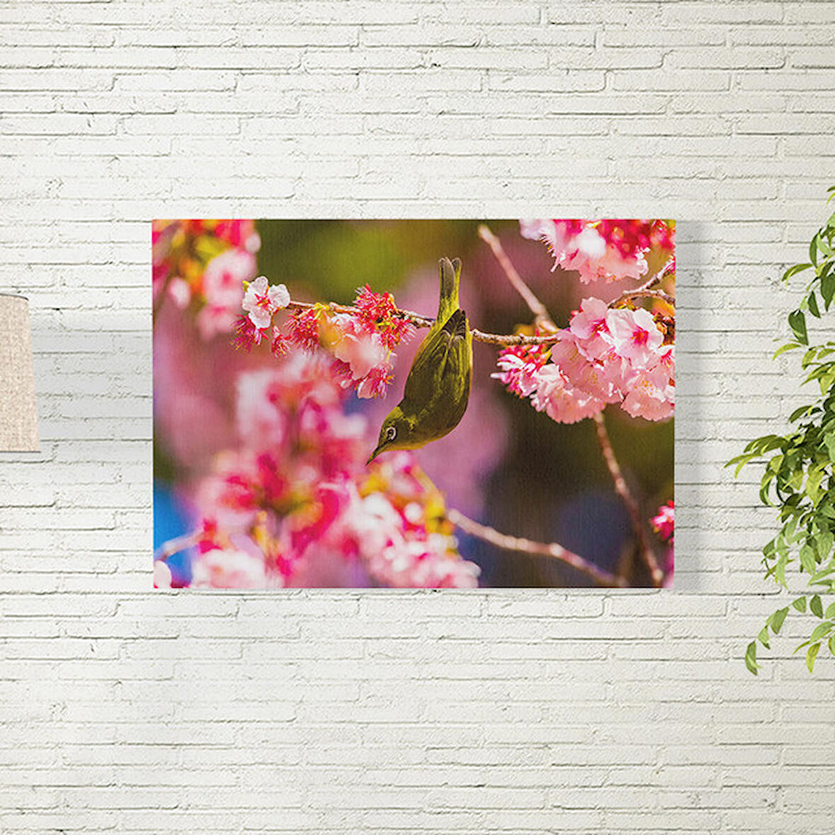 Daldaki Kuş Posteri 70X100 CM