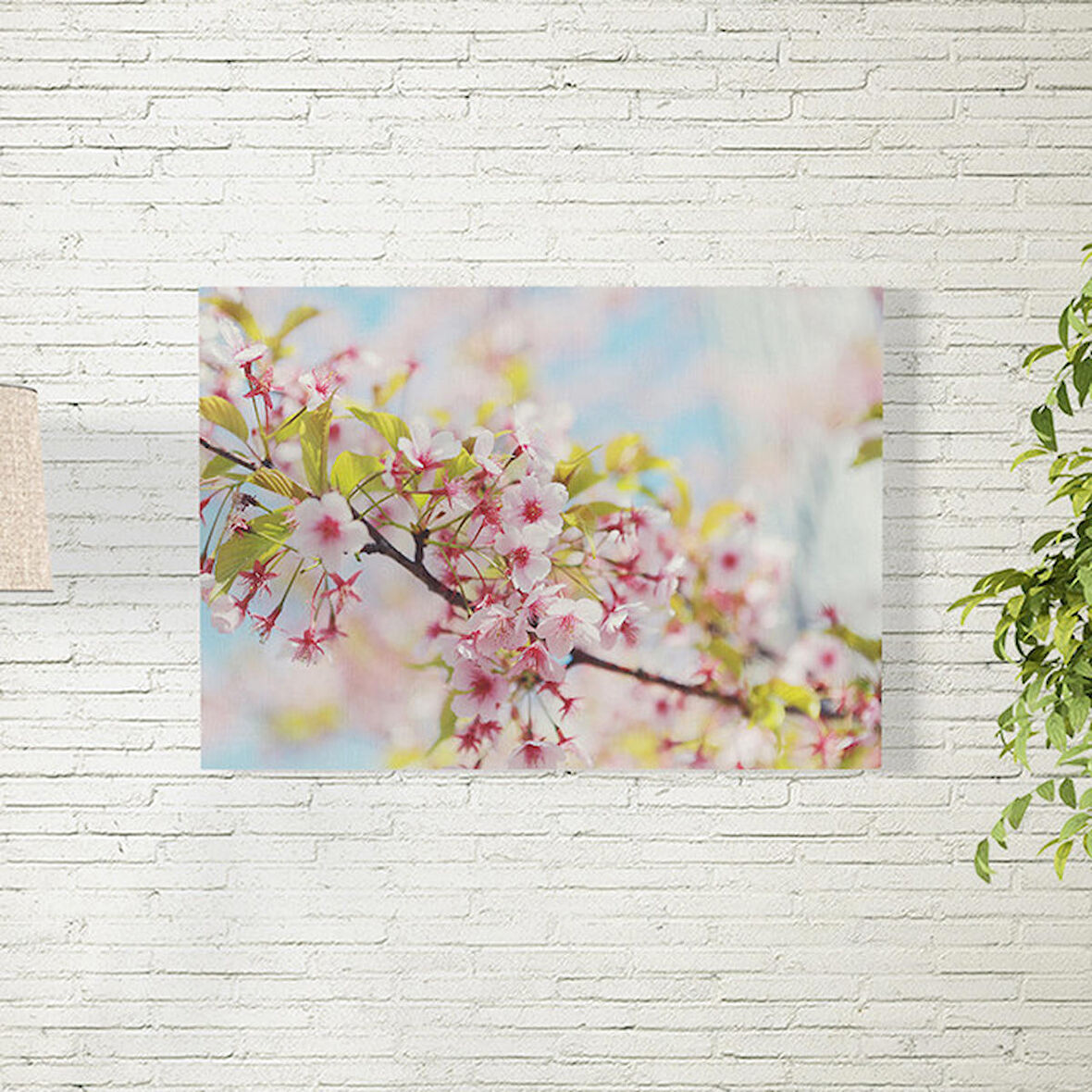 Sakura Ağacı Temalı Poster 50X70 CM