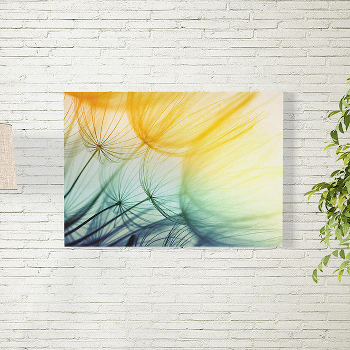 Karahindiba Posteri 70X100 CM