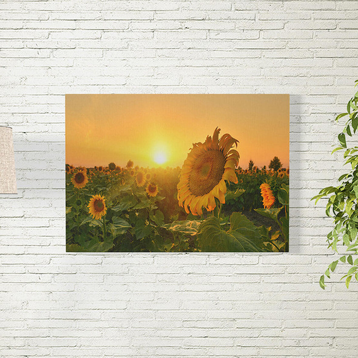 Güneş Batma Temalı Ay Çiçeği Posteri 50X70 CM