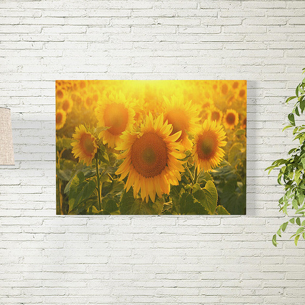 Güneş Batma Temalı Ay Çiçeği Posteri 35X50 CM