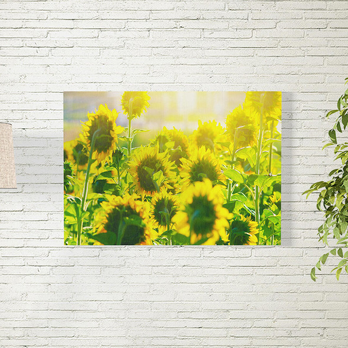 Ay Çiçekleri Poster 70X100 CM