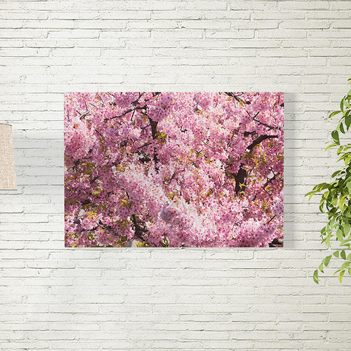 Sakura Ağacı Temalı Poster 35X50 CM