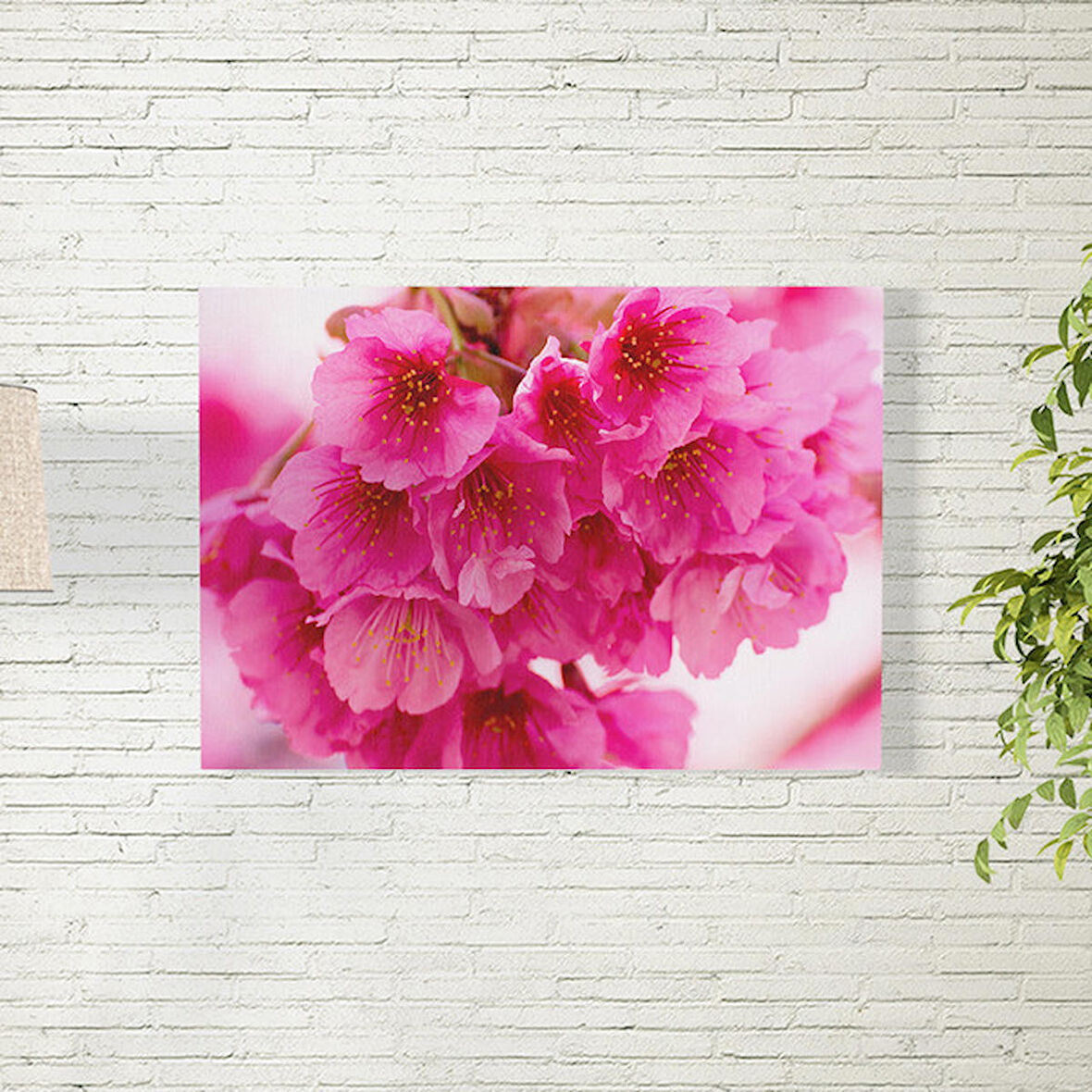 Sakura Çiçeği Temalı Poster 50X70 CM