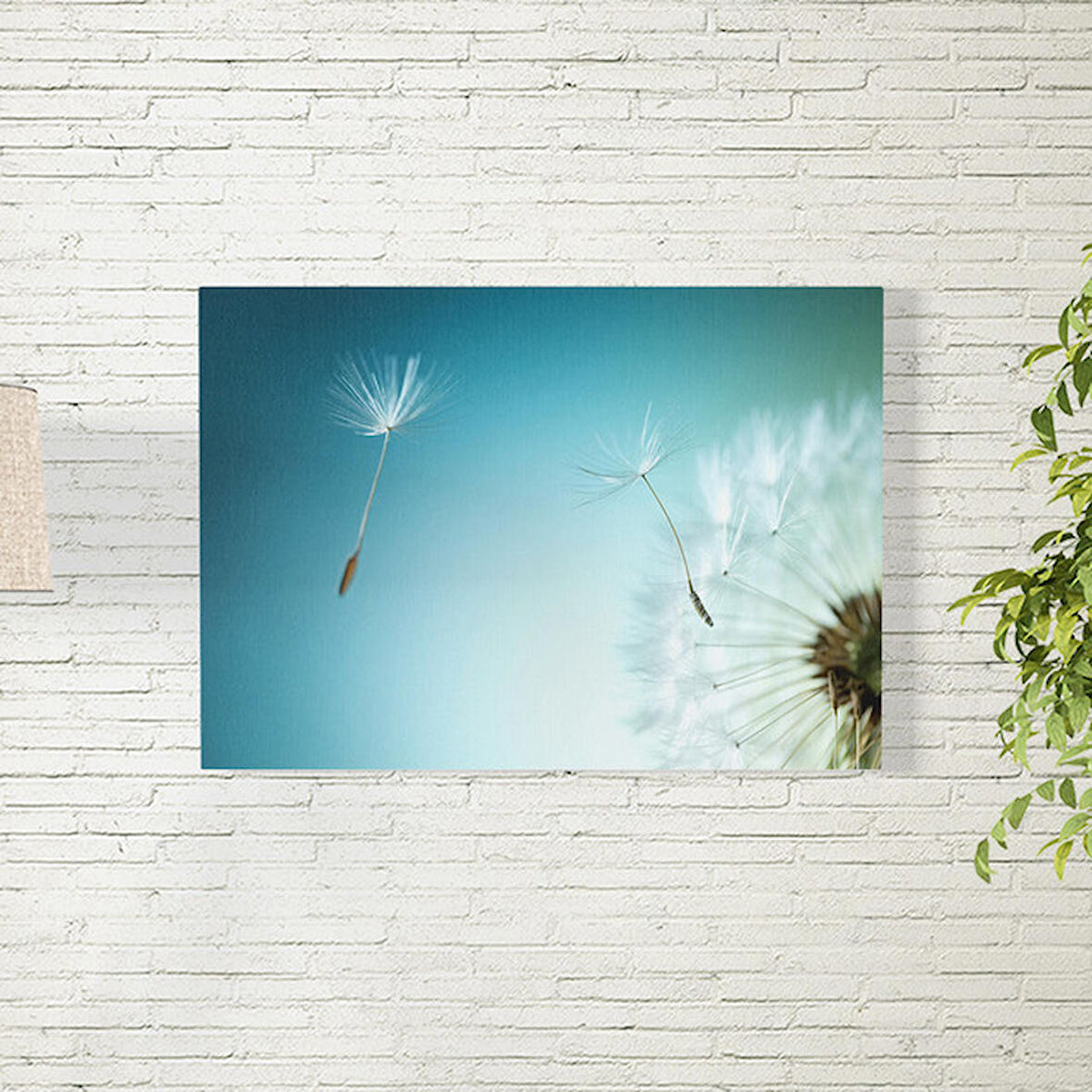 Uçuşan Karahindiba Taneleri Posteri 35X50 CM