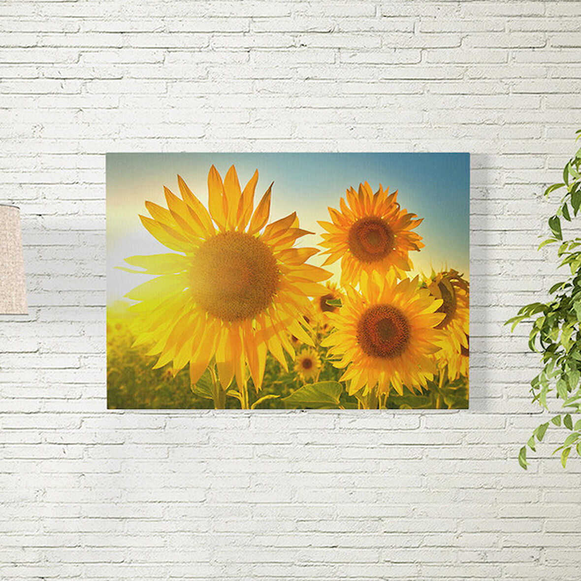 Ay Çiçekleri Poster 35X50 CM