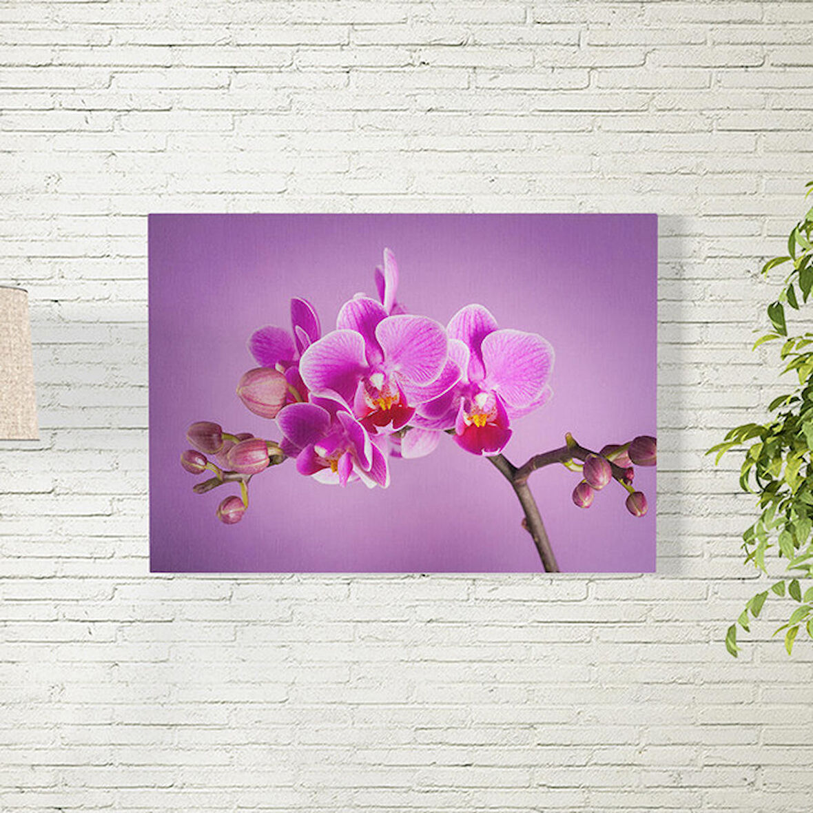 Pembe Orkide Temalı Poster 50X70 CM