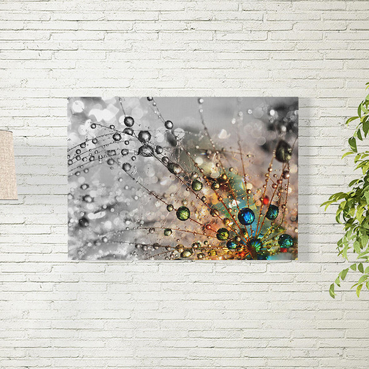 Örümcek Ağı Poster 70X100 CM