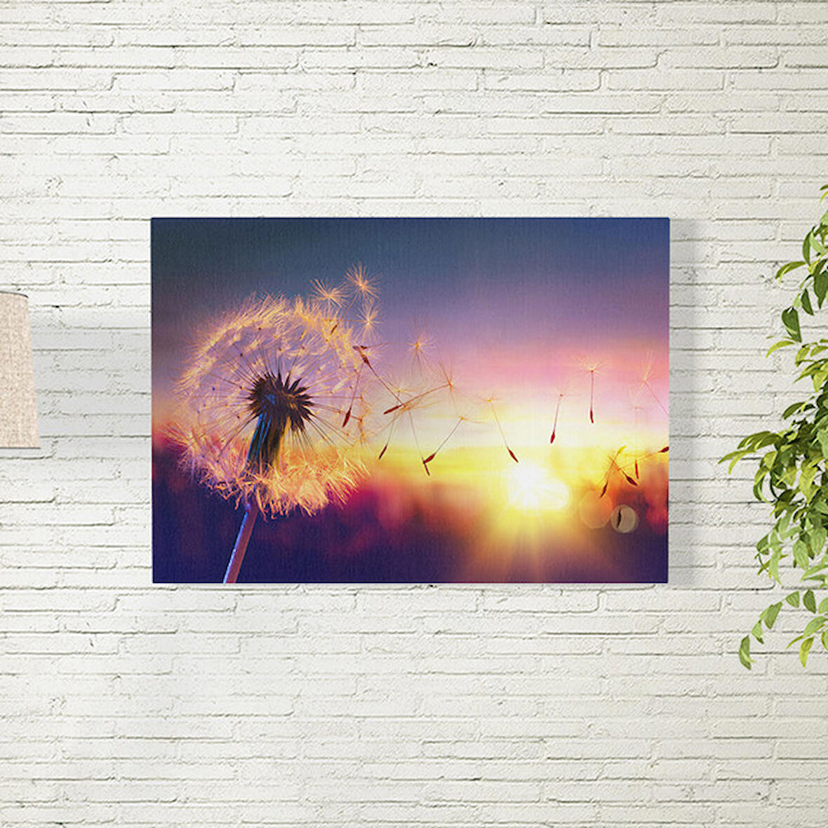 Güneş Vuran Karahindiba Posteri 50X70 CM