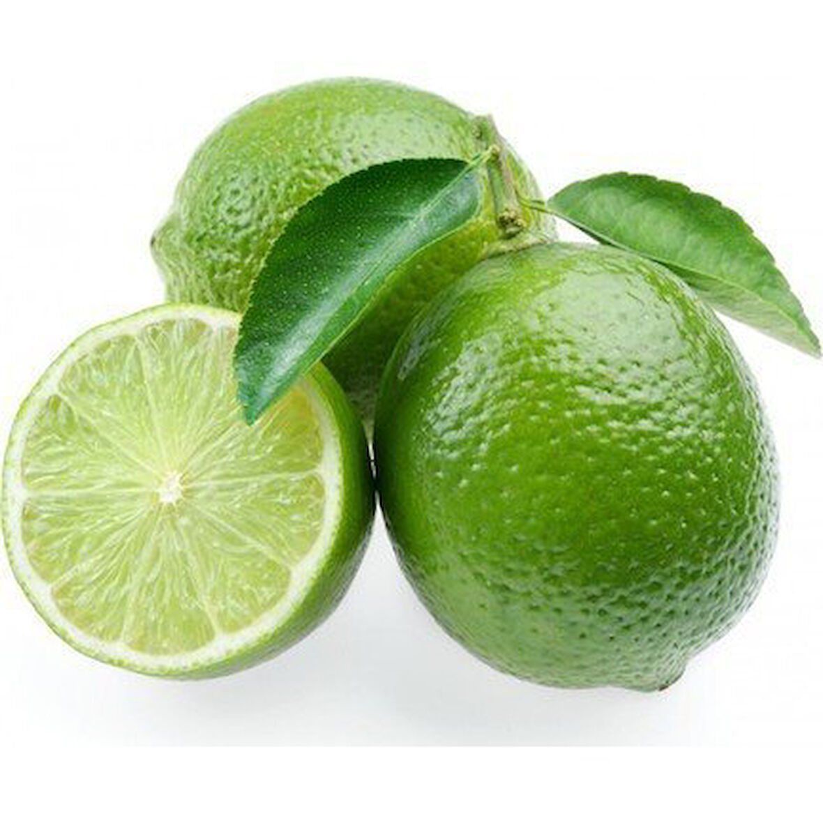 3 Yaş Aşılı Meksika Misket Limon Fidanı, Torbada