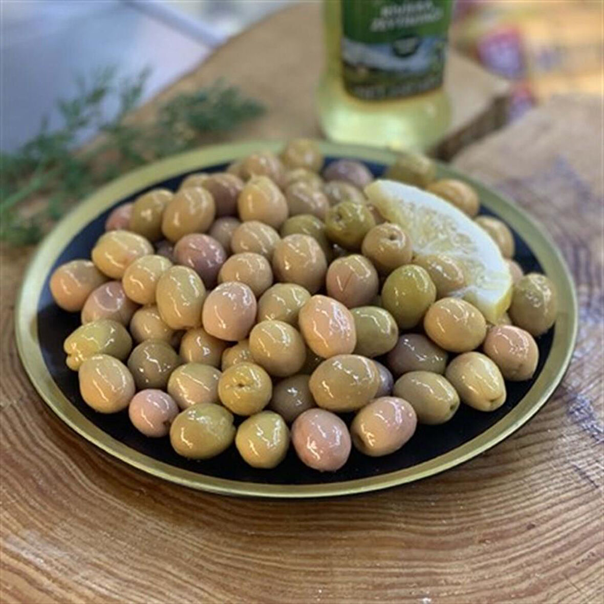 Ayvalık Edremit Zeytin Fidanı (Kırmalık ve Yağlık) 