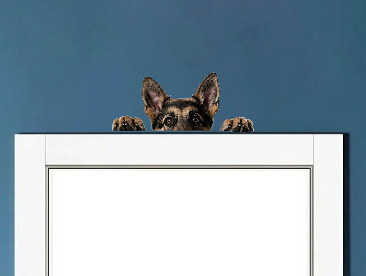 Alman Kurdu Köpek Duvar Sticker'ı