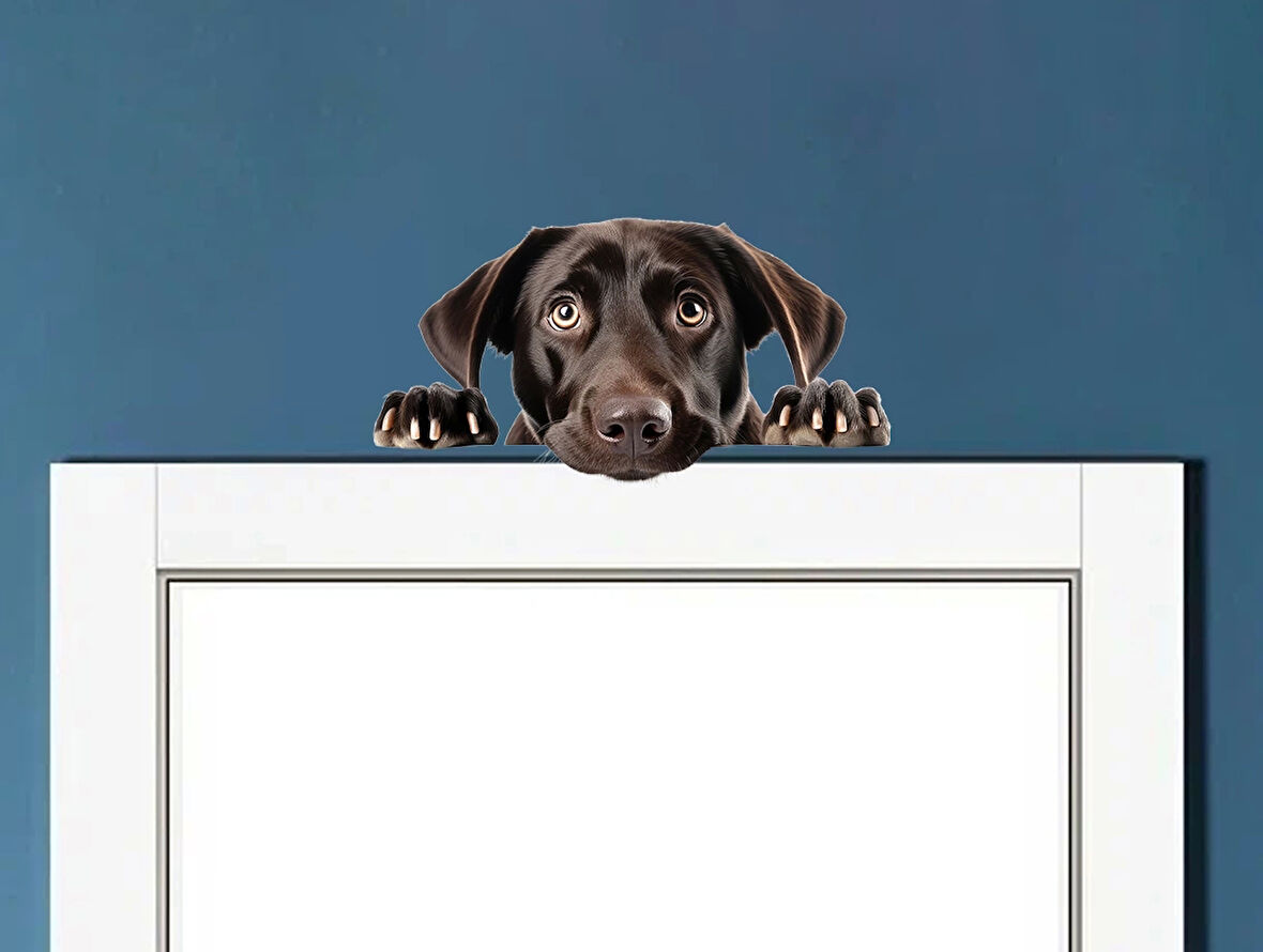 Koyu Kahverengi Labrador Köpek Duvar Sticker'ı