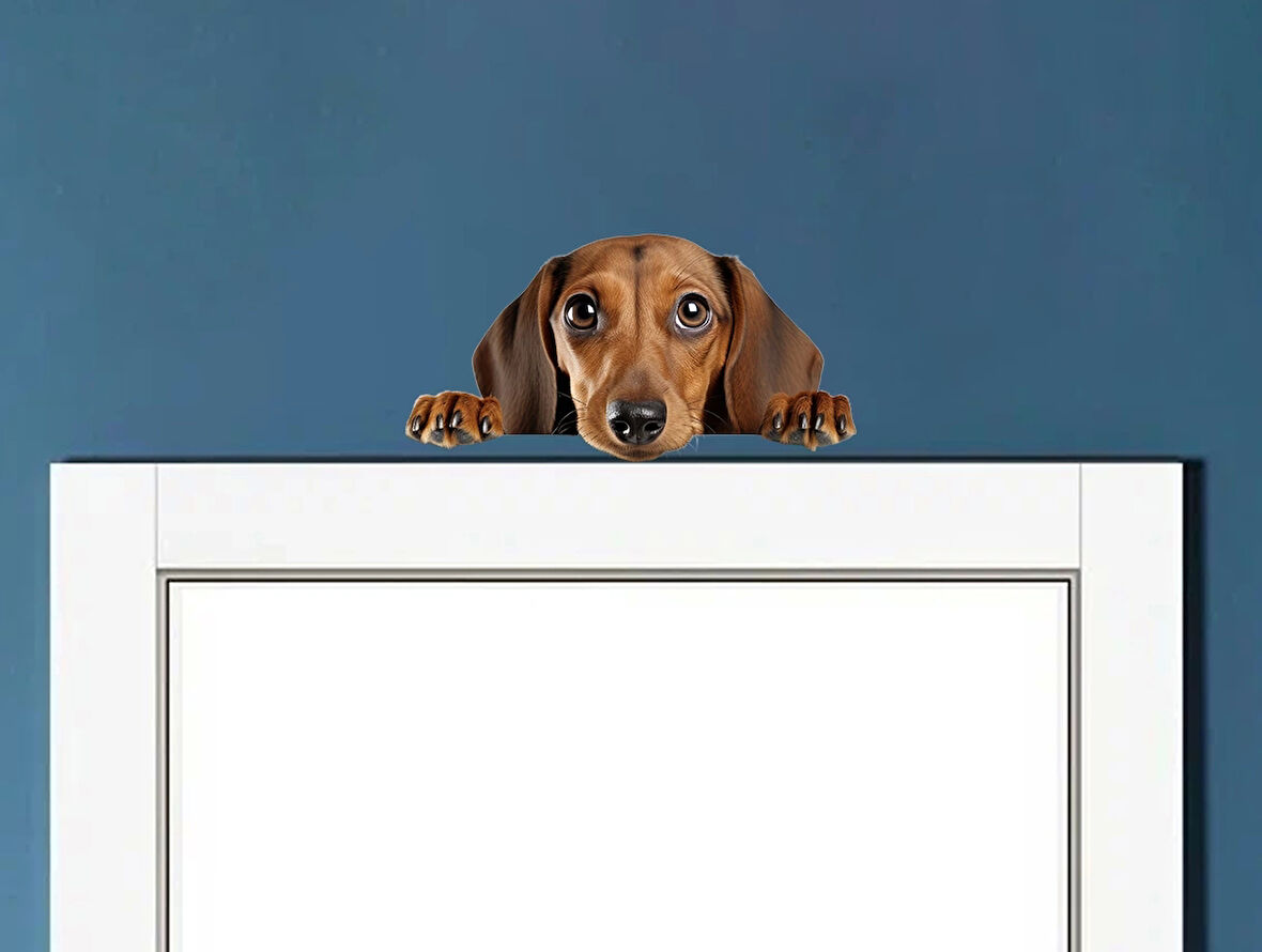 Kahverengi Dachshund (Sosis Köpek) Duvar Sticker'ı