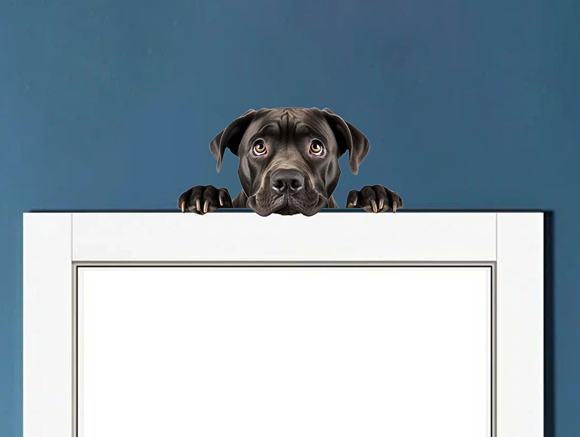Siyah Cane Corso Köpek Duvar Sticker'ı