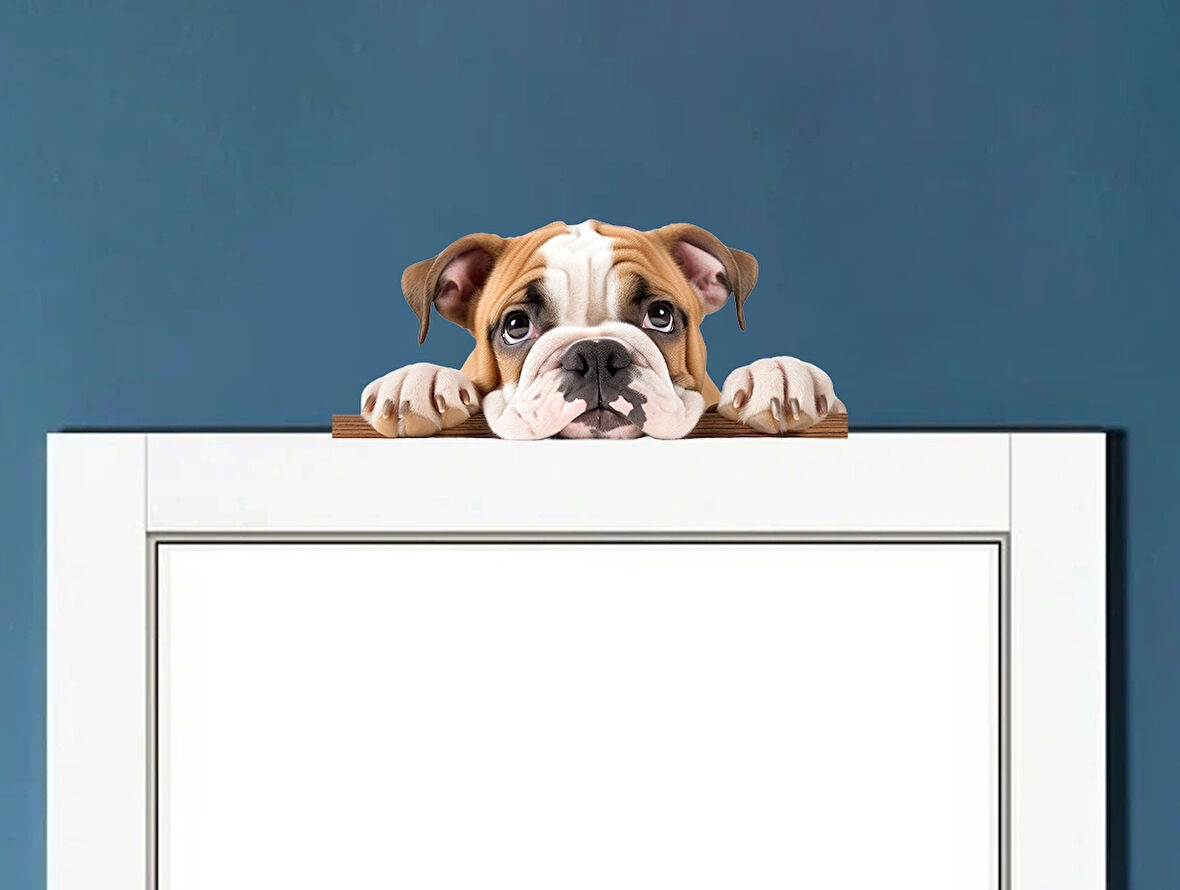 Kahverengi Beyaz İngiliz Bulldog Yavrusu Duvar Sticker'ı