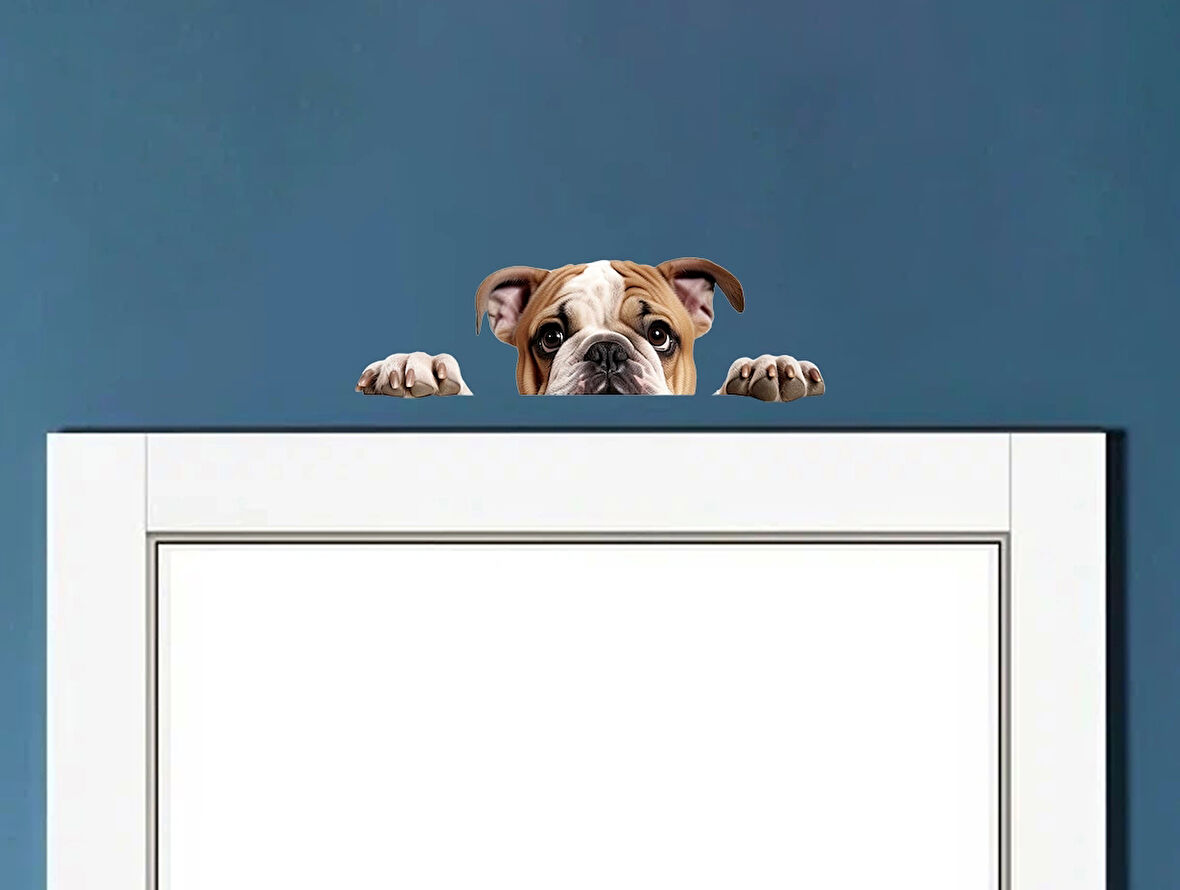 Kahverengi Beyaz İngiliz Bulldog Yavrusu Duvar Sticker'ı