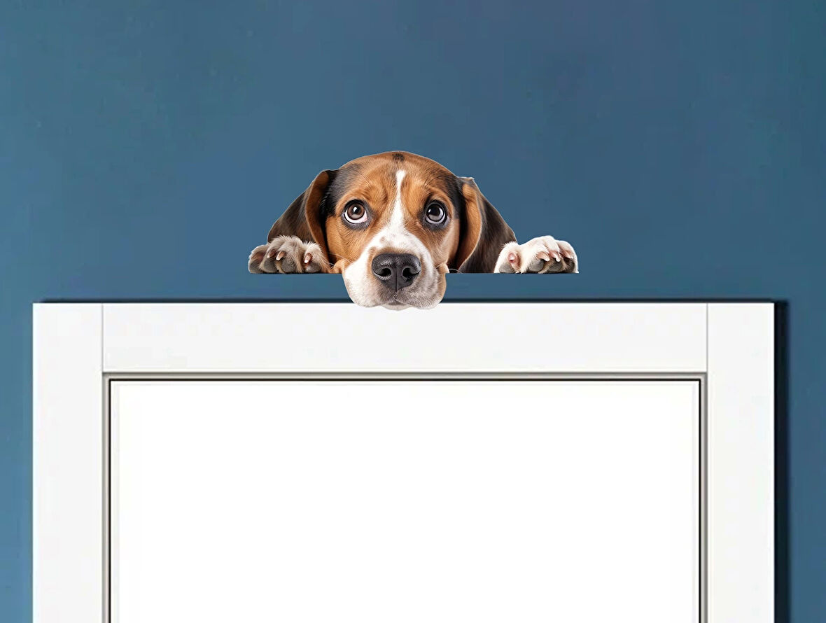 Kahverengi Beyaz Beagle Köpek Duvar Sticker'ı