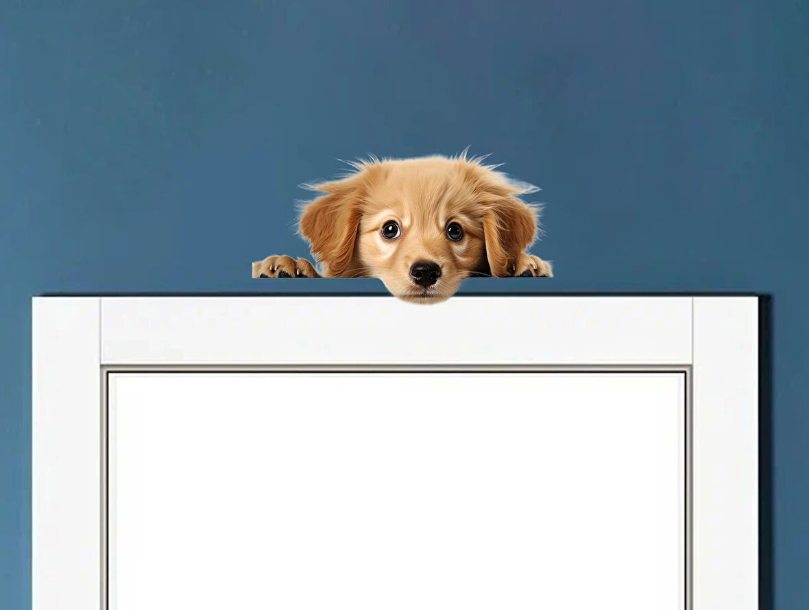 Sarı Yavru Köpek Duvar Sticker'ı