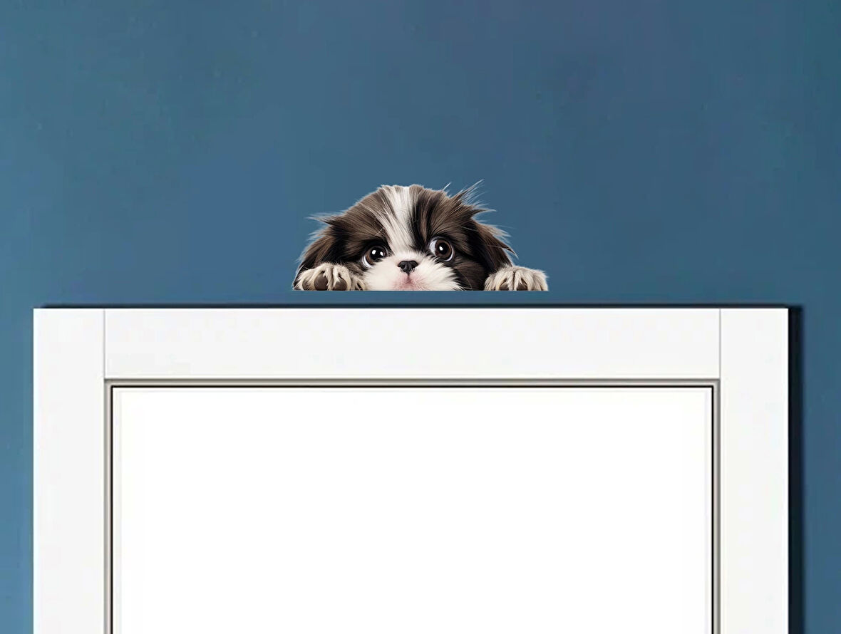 Beyaz Kaniş Duvar Stickerı