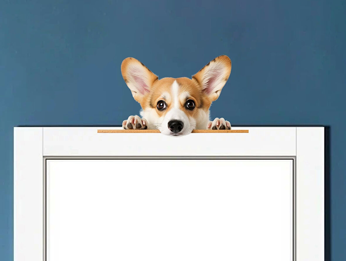 Rottweiler Yavrusu Duvar Stickerı