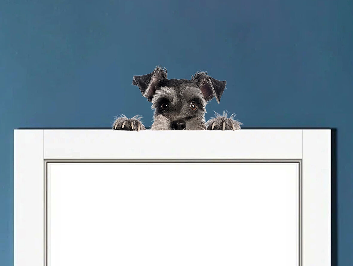 Siyah ve Bronz Köpek Duvar Stickerı