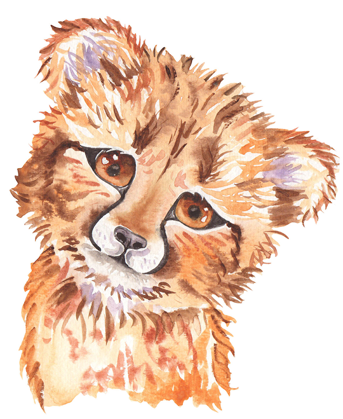 Yavru Çita Portresi (Baş Eğik)