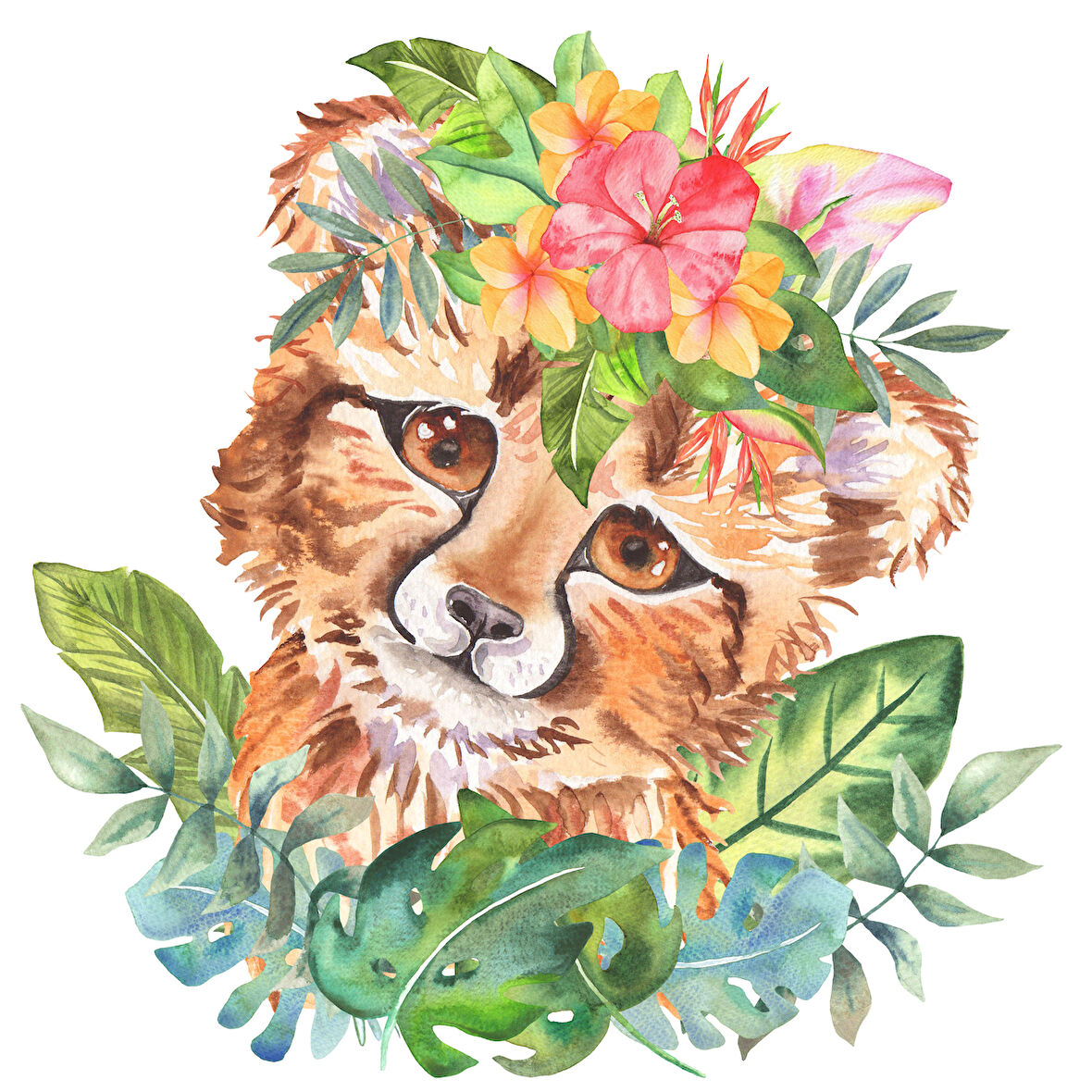 Çiçek Taçlı Yavru Çita