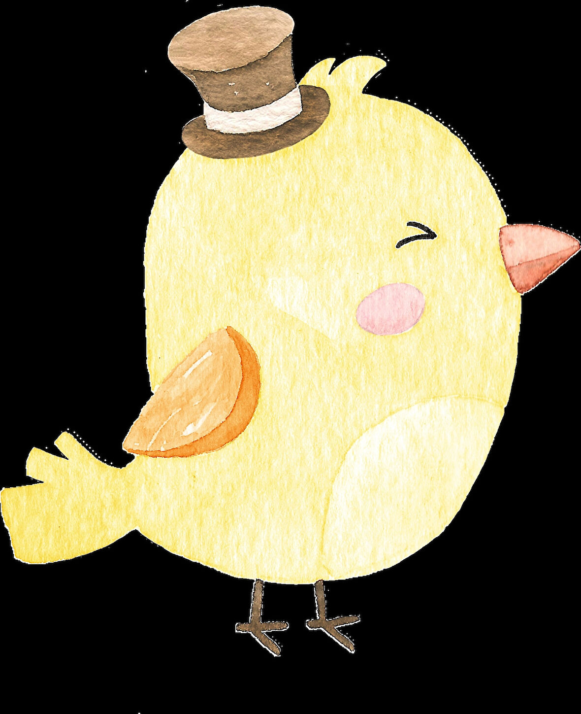 Şapkalı Kuş Duvar Stickerı