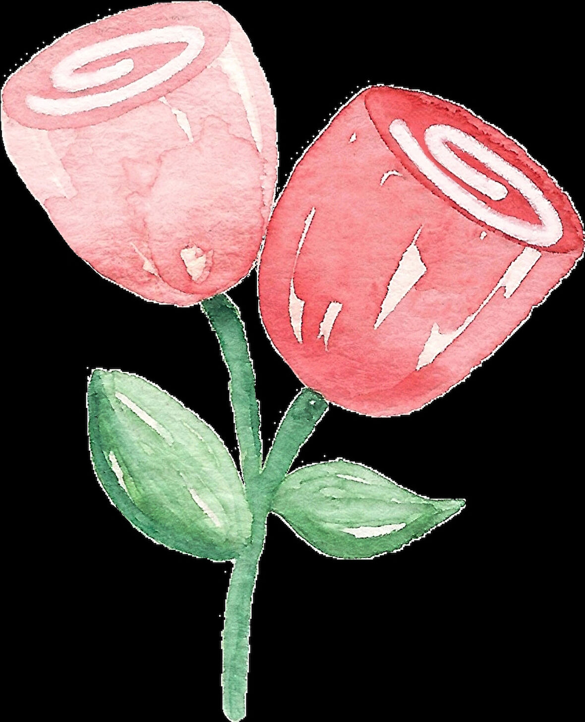 İki Gül Duvar Stickerı