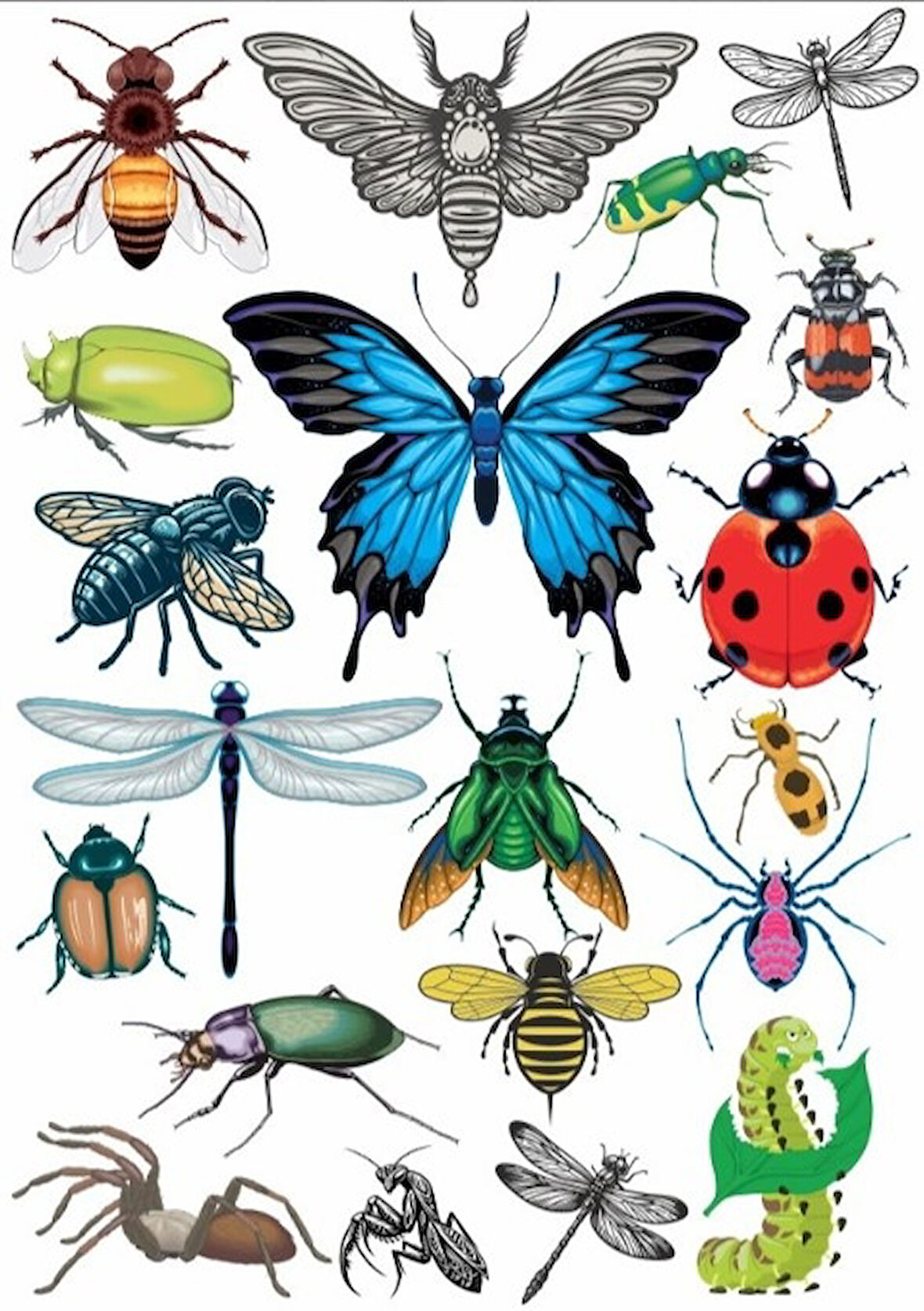 Kelebekler Sticker Set