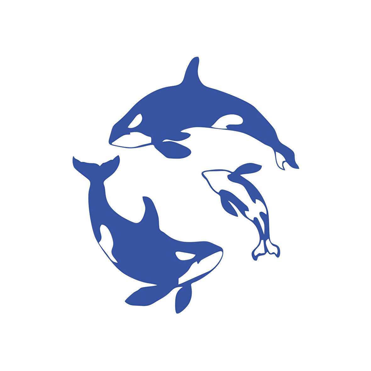 Balinalar Araba Sticker 17x17 Cm Mavi