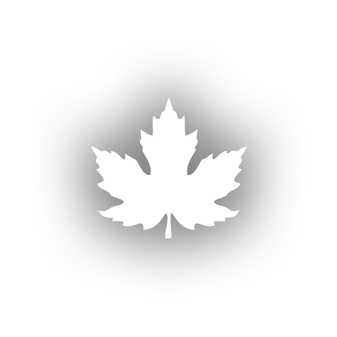 Çınar  Yaprağı Araba Sticker 17x17 Cm Beyaz