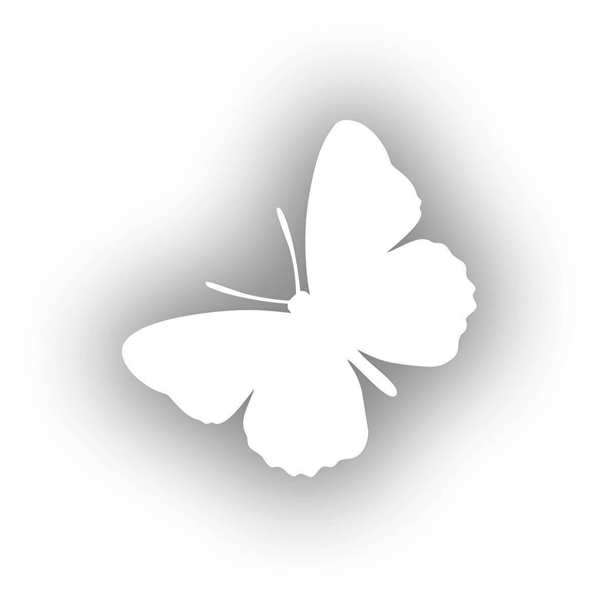 Kelebek Araba Sticker 17x17 Cm Beyaz