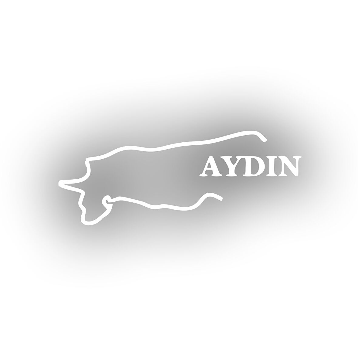 Aydın Harita Araba Sticker 17x17 Cm Beyaz