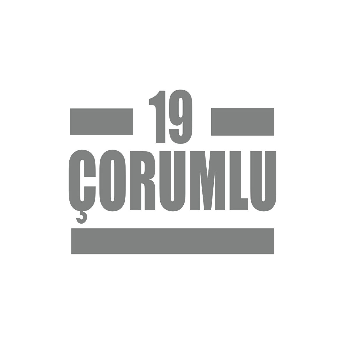 19 Çorumlu Araba Sticker 17x17 Cm Gri