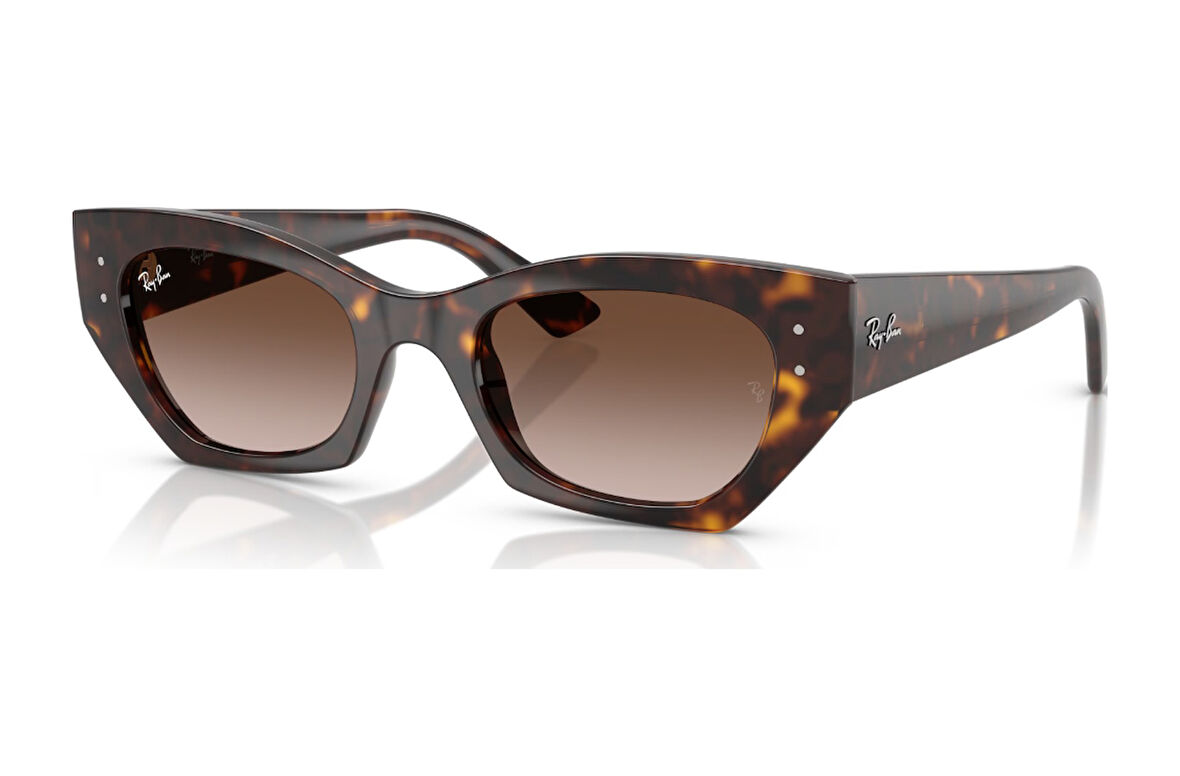 Ray-ban Rb 4430 135913 52 Erkek Zena Güneş Gözlüğü Siyah