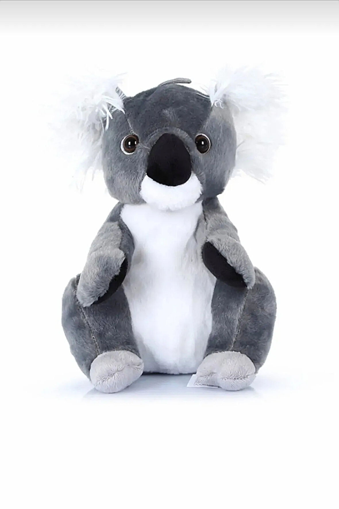 Sevimli Tombiş Peluş Koala Oyuncak 25 Cm