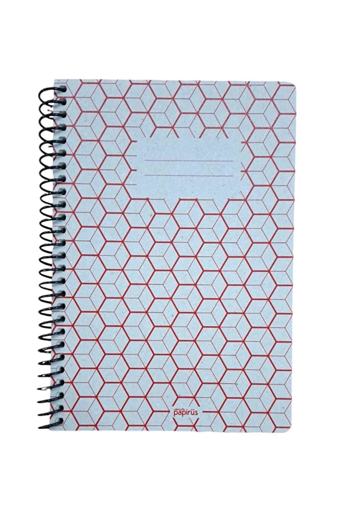 Papirüs Retro 16X23cm 80 Yaprak Kareli Defter