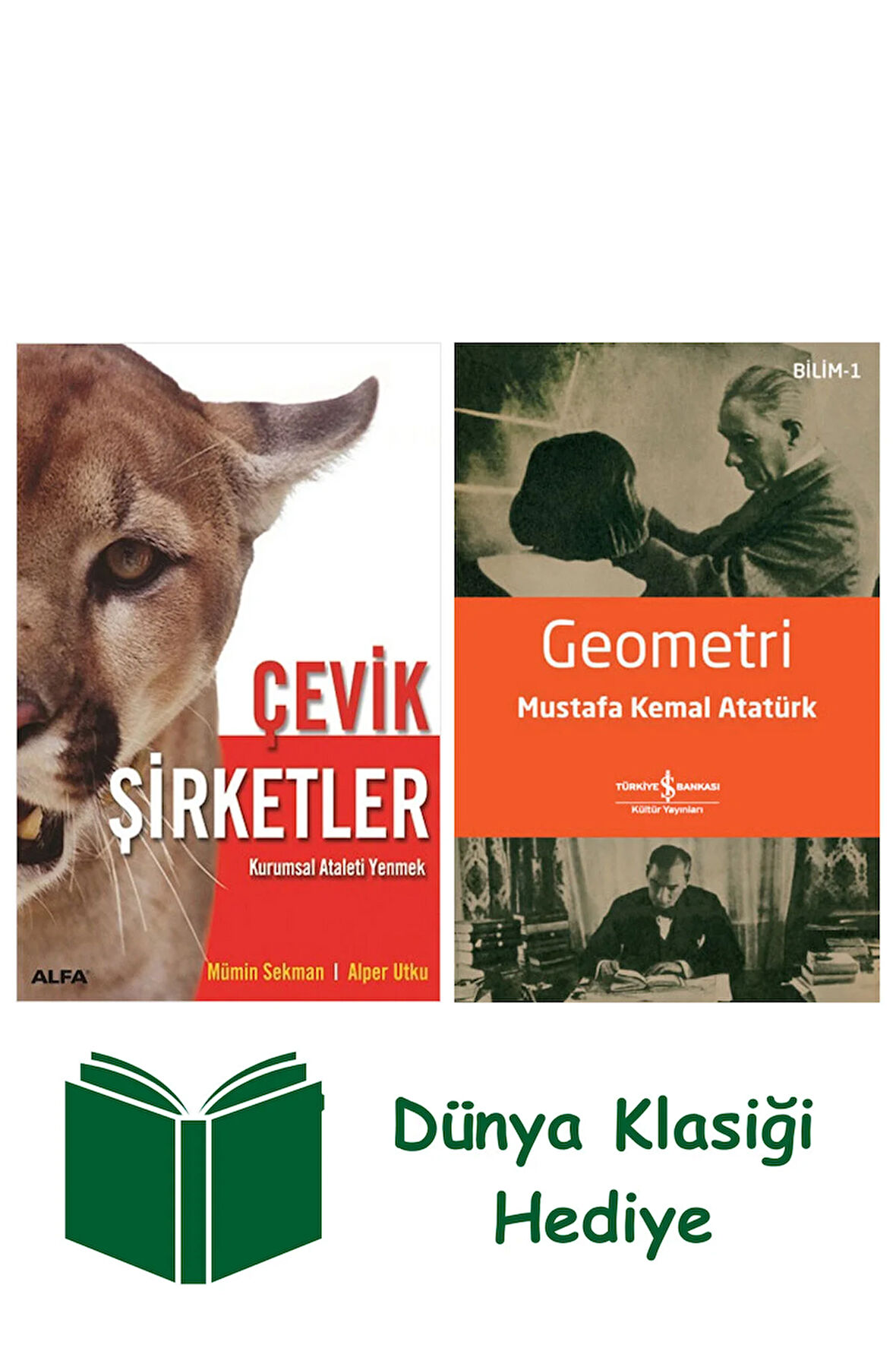 Çevik Şirketler + Geometri + Dünya Klasiği Hediye