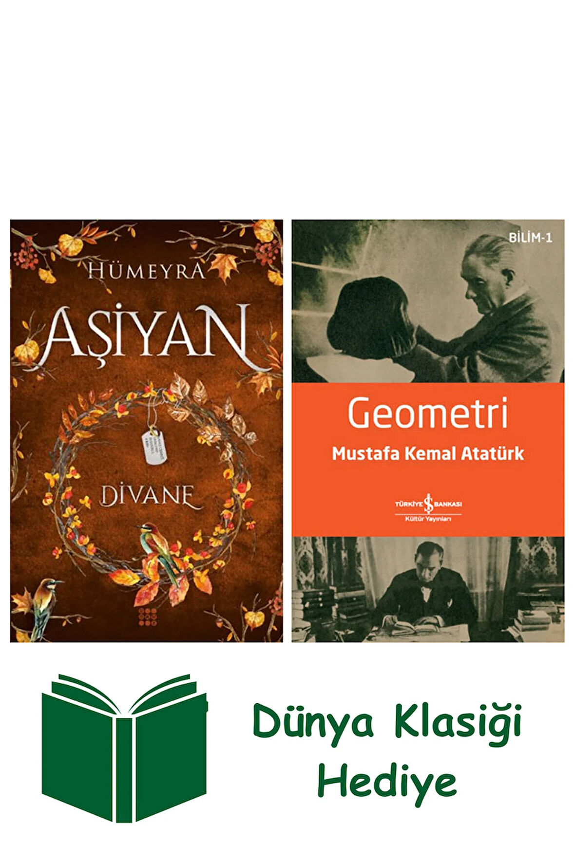 Aşiyan 2 - Divane + Geometri + Dünya Klasiği Hediye