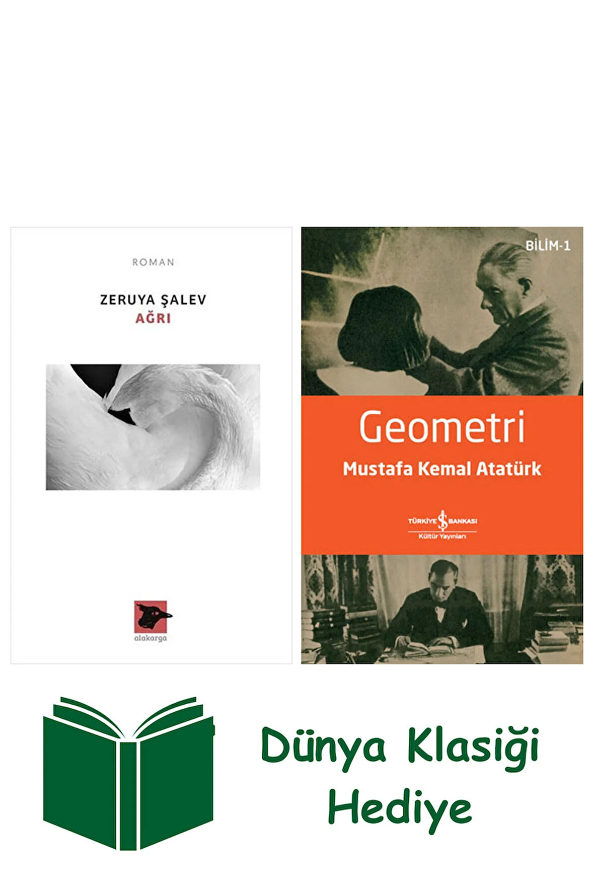 Ağrı + Geometri + Dünya Klasiği Hediye