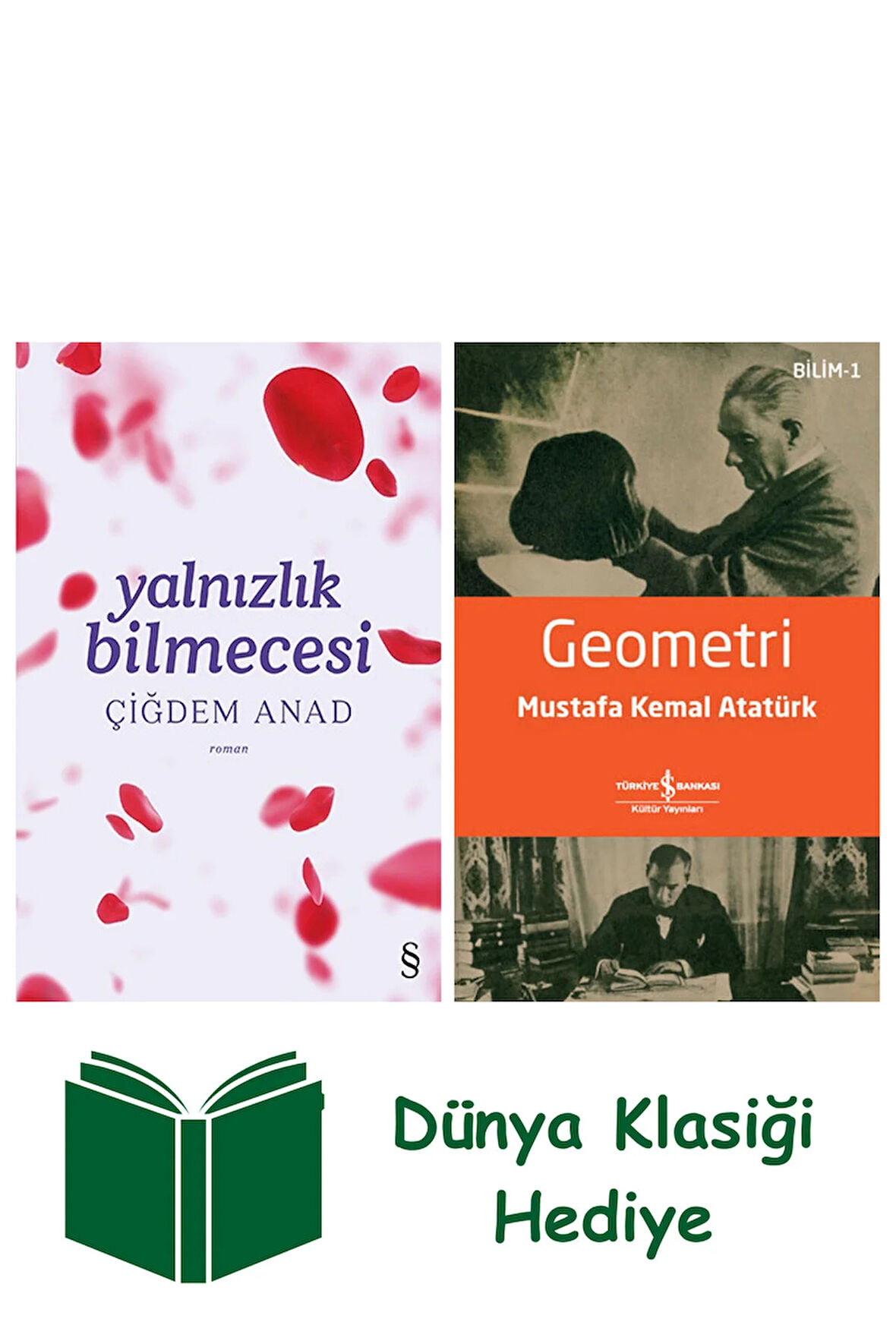 Yalnızlık Bilmecesi + Geometri + Dünya Klasiği Hediye